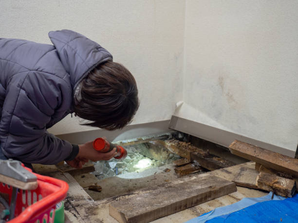 Best Mold Documentation for Insurance Claims  in Hooverson Heights, WV