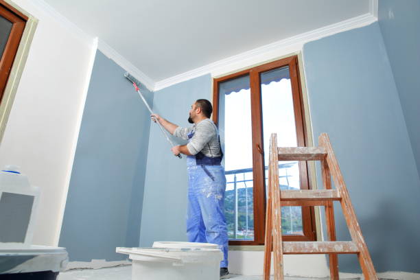 Best Post-Construction Mold Inspection  in Hooverson Heights, WV