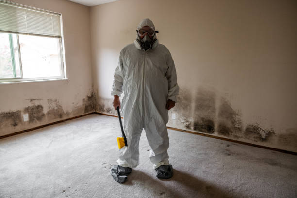 Best Residential Mold Inspection & Testing  in Hooverson Heights, WV