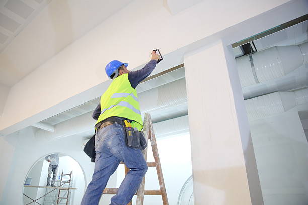 Professional Mold Removal in Hooverson Heights, WV