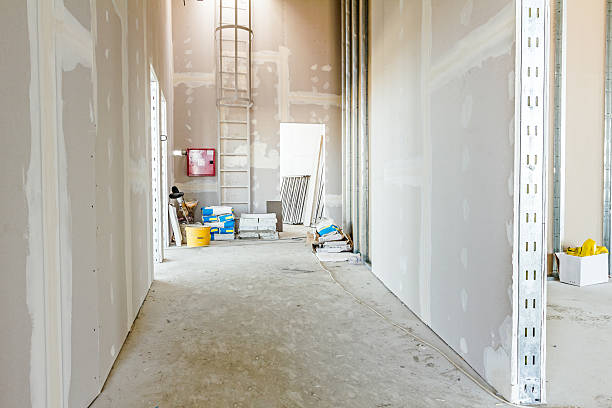 Best Water Damage & Mold Remediation  in Hooverson Heights, WV